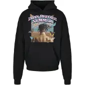 Mister tee Sweat-shirt 'Days before Summer' bleu clair / marron / noir / blanc