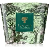 Baobab Sacred Trees Touba bougie parfumée 500 g