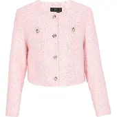 Faina Blazer 'Festive' rose