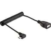 DeLOCK Câble spiralé USB 2.0 (0.50 m, USB 2.0)