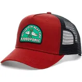 Hydroponic Bad Luck Cap Rouge