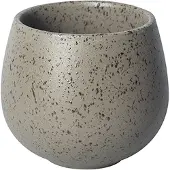 Loveramics Tasse de dégustation Brewers Granite, 150 ml