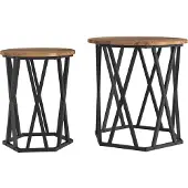 vidaXL Table basse, lot de 2, bois recyclé, style industriel, bois et acier