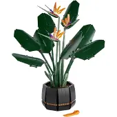 LEGO Botanicals - Creator - L'oiseau de paradis - 10289