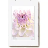 Walther design Porte-photos sans cadre (30 x 45 cm)