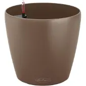 Lechuza Classico Color (34.50 x 32.50 cm)