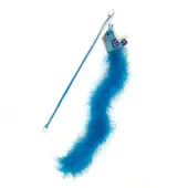 Happy pet Tabby Patch Chat Queue Oiseau bleu