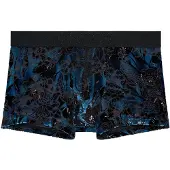 Hom Boxer court