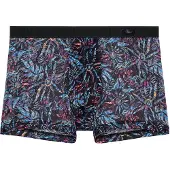Hom Boxer