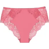 Triumph Slip ' Wild Peony Florale ' rose