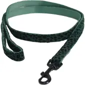 Kentucky Laisse Pour Chien Leopard