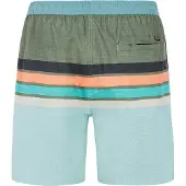 Protest Avik Swimming Shorts Vert S Homme