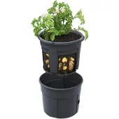 Intratuin Pot Rond Potato Grower 300 Pour La Culture Des Pommes De Terre
