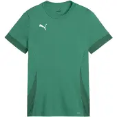 Puma T-Shirt fonctionnel roseau / vert foncé / blanc