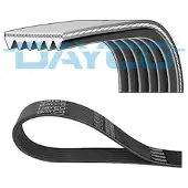 DAYCO 6PK1030 Multiriem