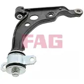 Fag Bras de suspension, suspension 821 0810 10