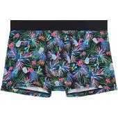 Hom Boxers ' Boxer Briefs Havana ' mélange de couleurs