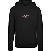 Mister tee Sweat-shirt 'Eagle Paradise' bleu cyan / rouge / noir / blanc