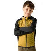 Regatta Andreson Jacket Jaune 7-8 Years Enfants