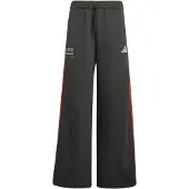 Adidas Pantalon de sport 'Audi Formula One Team DNA' gris foncé / homard / blanc