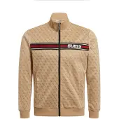 GUESS (90, 701) Multi G