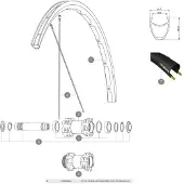 Mavic Rayons Gauches Ksyrium Disc 2018 12 Unités