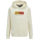 Jack & Jones Frederiksberg Box Hoodie Beige 14 Years Garçon