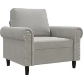 vidaXL Fauteuil gris clair 60 cm velours