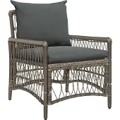 vidaXL Chaise de jardin avec coussin Gris 73 x 61 x 77 cm en rotin synthétique