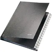 Leitz Index Organizer 1-31 Document Holder Clair Enfants