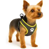Flamingo Harnais Pour Chien Step&go Tasha