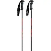Gabel Rental Composite Sr Poles Argenté 120 cm
