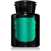 PADDYWAX Apothecary Noir Tabac & Pine bougie parfumée 226 g