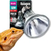 Aquadistri Lampe halogène spot (UVA) 50 W