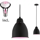 Paulmann Lampe à suspendre Bundle Neordic Hilla