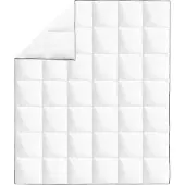 vidaXL Couette d'hiver en duvet 200x220 cm