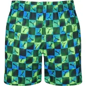Puma Short De Bain 701237078