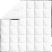 vidaXL Couette d'hiver en duvet 200x200 cm