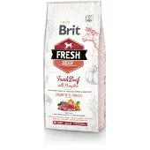 Brit Fresh beef with pumpkin puppy large - Boeuf &amp; citrouille pour chiots de grandes races - 2 x 12 kg