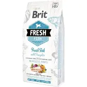 Brit Fresh Fish with Pumpkin 2.5 kg Adult Pumpkin, Fish