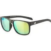 Alpina sport Sunglasses Nacan III Coffee Grey Matt