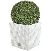 Wellhome Rato 32l Flowerpot 2 Units Vert