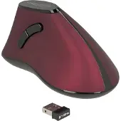 DeLOCK Souris ergonomique verticale sans fil - Noir/Rouge - 5 boutons - 1000 dpi