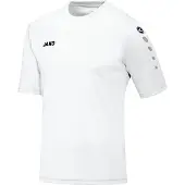 Jako Trikot Team KA
