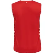 Hummel T-Shirt fonctionnel rouge / blanc