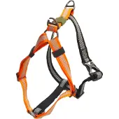 Afp harnais Off Street mandarine, taille : XL / largeur : 2,5 cm