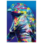 Bluebird Puzzle Puzzle Dolphin - 1000 pièces