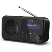 Sharp DR-P420 - Portable - Numérique - DAB - DAB+ - FM - Recherche automatique