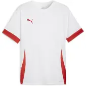 Puma T-Shirt fonctionnel 'TeamGoal Matchday' rouge / blanc