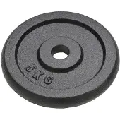 vidaXL Disques d'haltères 4 pièces 4x5 kg en fonte